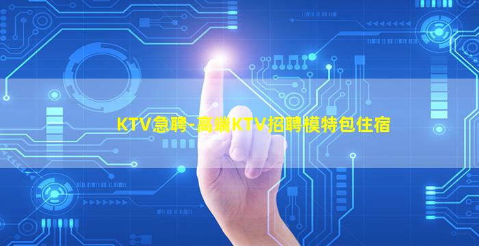 山南酒吧招聘